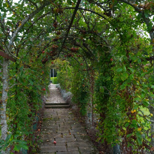Archway at longstock park walled garden