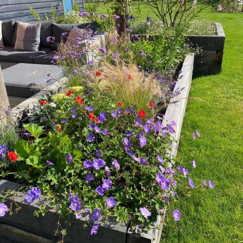 Garden Flower Beds Leckford Nursery