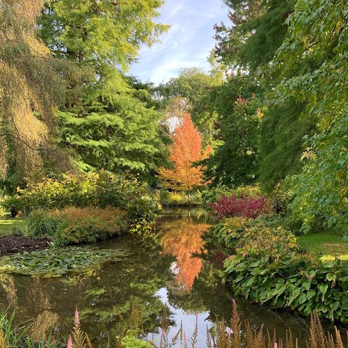 Longstock Park Water Garden at Autumn