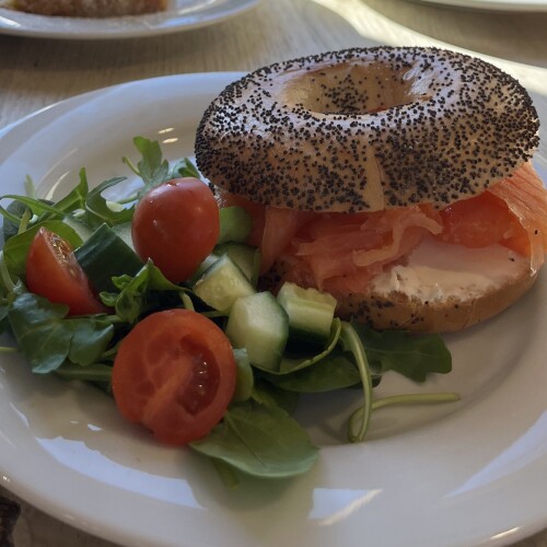 Toastie at at longstock park cafe