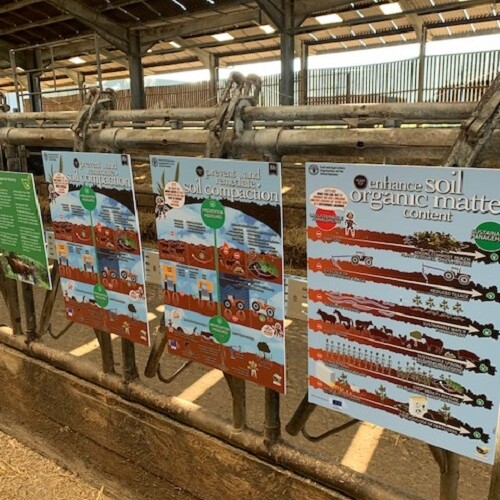poster display on soil