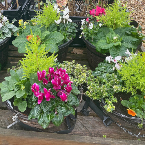 Garden Landscaping in hampshire