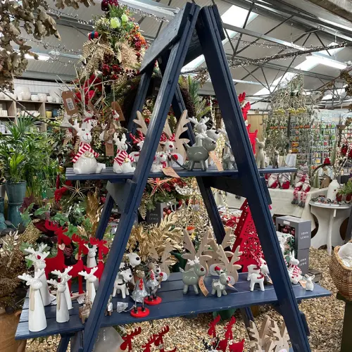 Longstock Park Garden Shop at Christmas