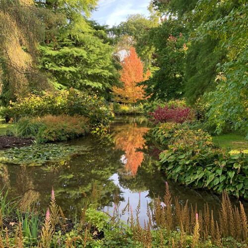 Leckford Water Garden Halloween Trail Autumn