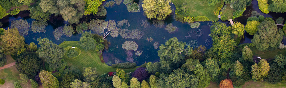 Overview of Leckford Water Garden