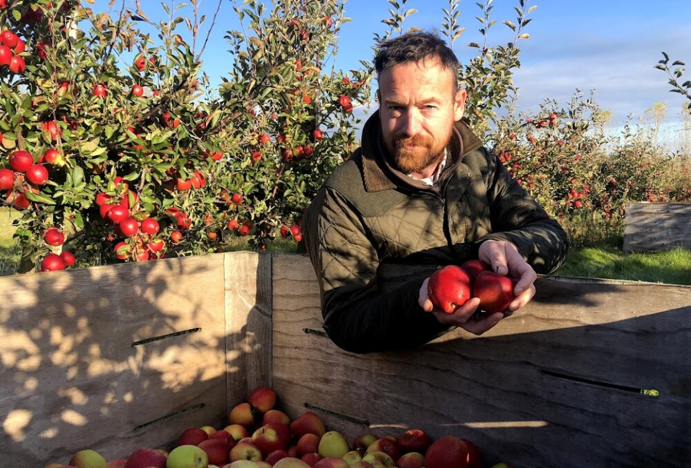 Apple picker Partner