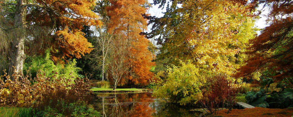 Hampshire Water Garden