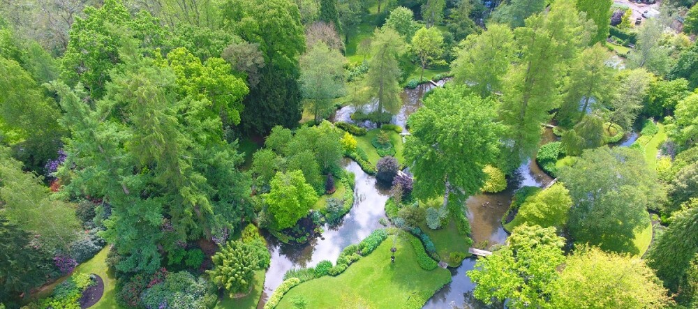 birds eye view of water gardens