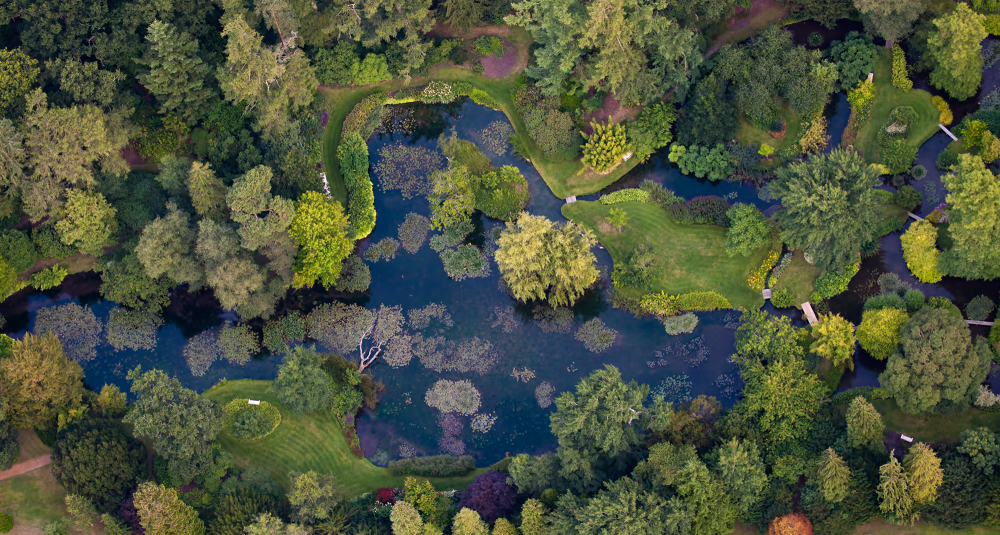 Longstock Park Water Garden