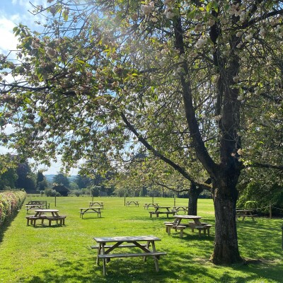 Cafe Leckford Estate, Hampshire