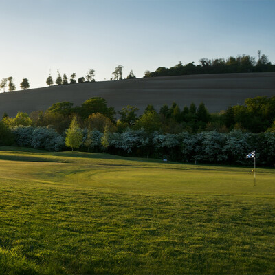 View of putting green