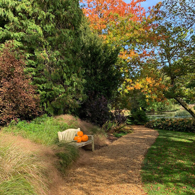 Longstock Water Garden at Autumn for the Halloween Hunt