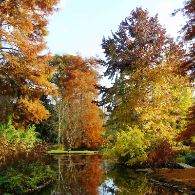 Longstock Park Water Garden