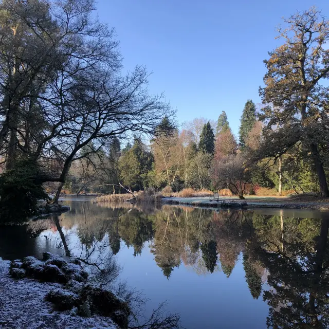 trees in winter at Longstock Park Water Garden